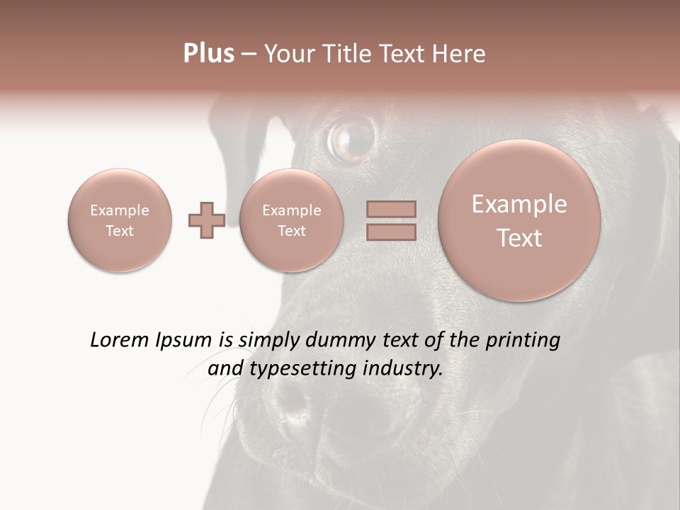 Retriver Intelligence Labrador Retriever PowerPoint Template