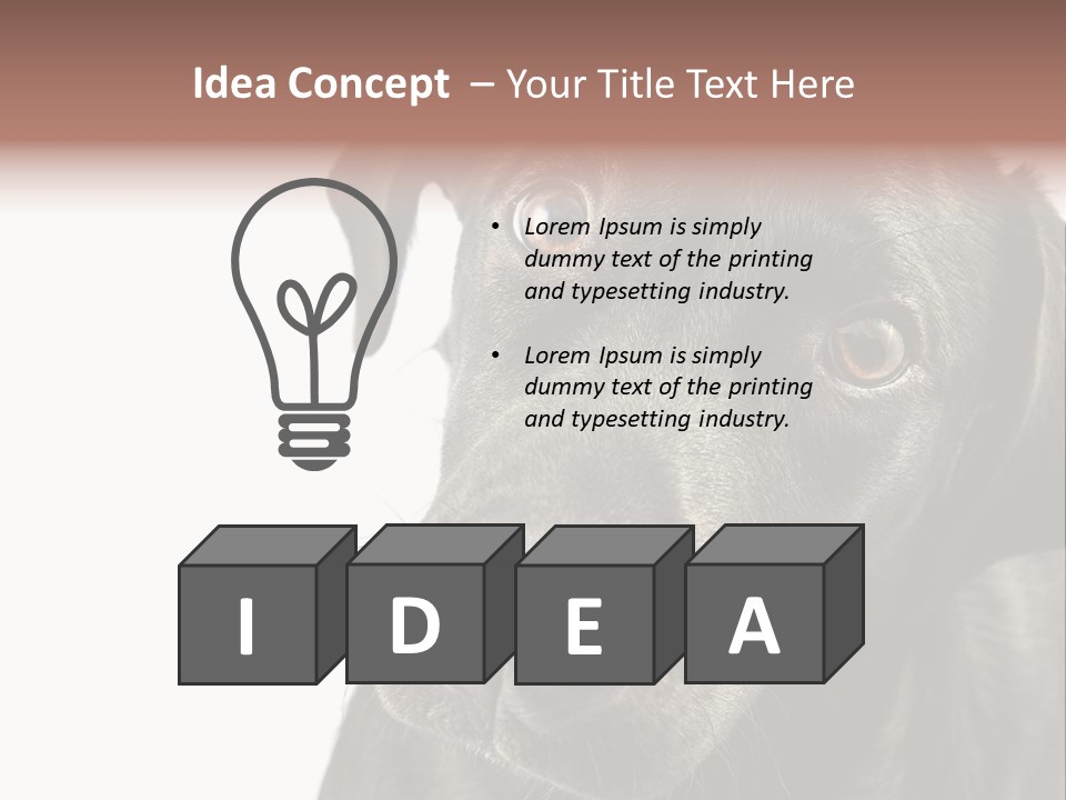 Retriver Intelligence Labrador Retriever PowerPoint Template
