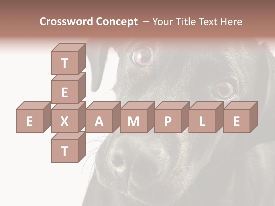 Retriver Intelligence Labrador Retriever PowerPoint Template