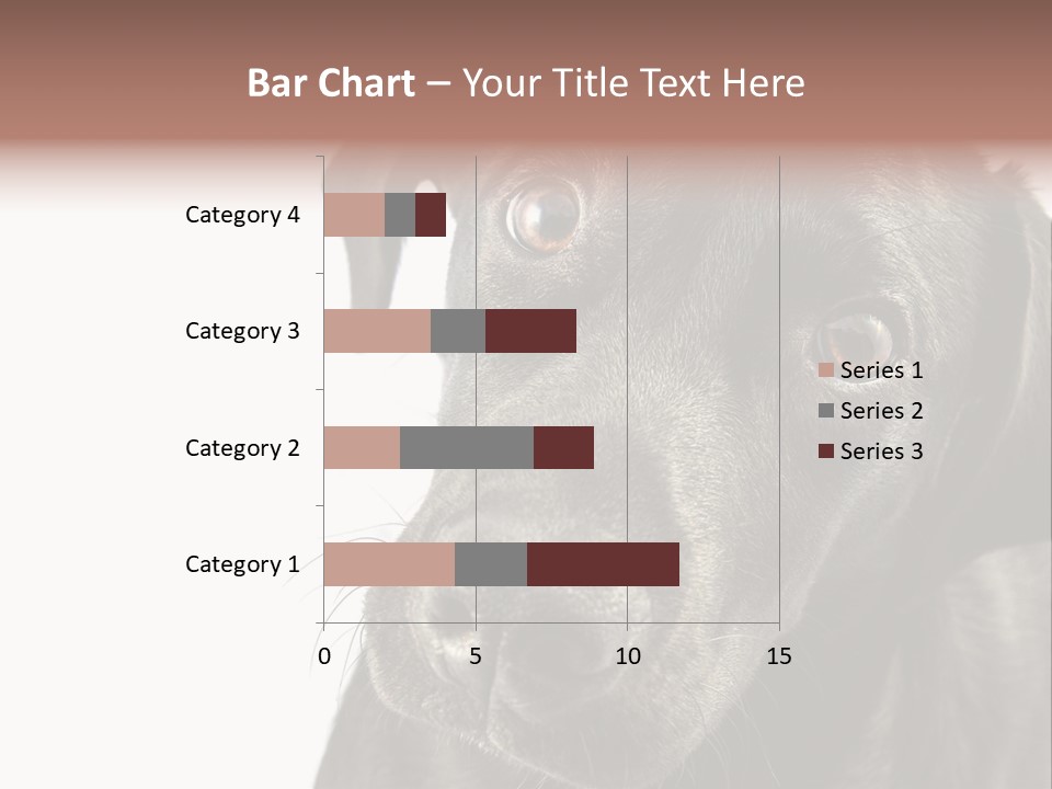 Retriver Intelligence Labrador Retriever PowerPoint Template
