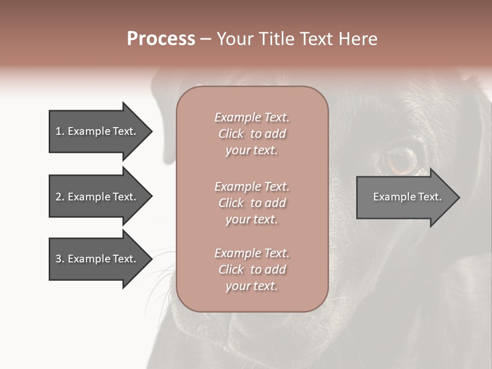 Retriver Intelligence Labrador Retriever PowerPoint Template