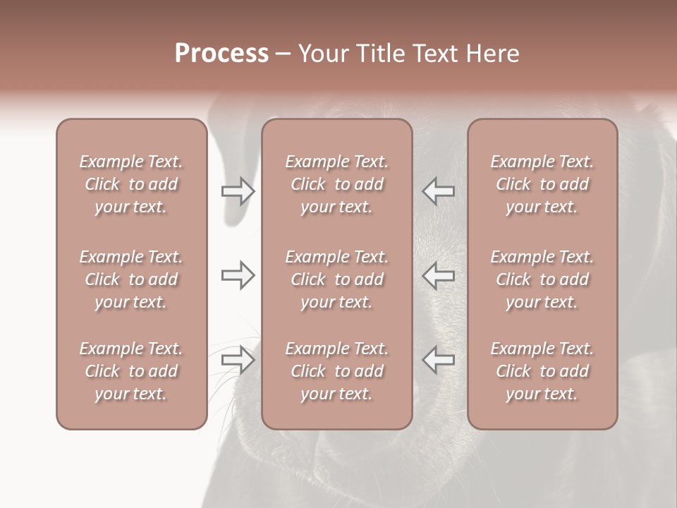 Retriver Intelligence Labrador Retriever PowerPoint Template