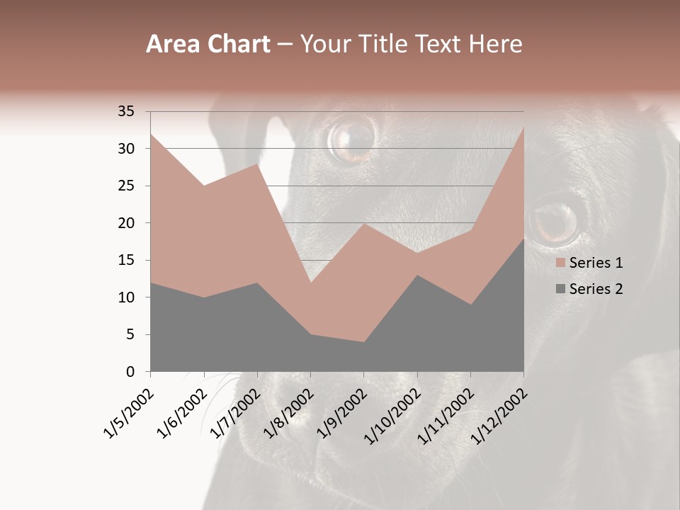 Retriver Intelligence Labrador Retriever PowerPoint Template