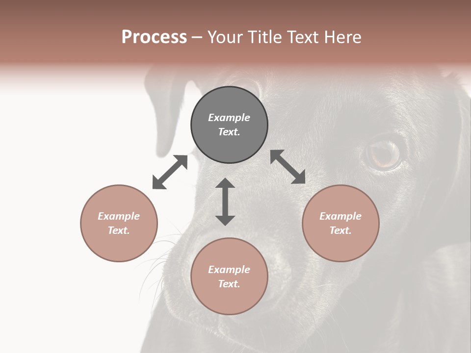 Retriver Intelligence Labrador Retriever PowerPoint Template