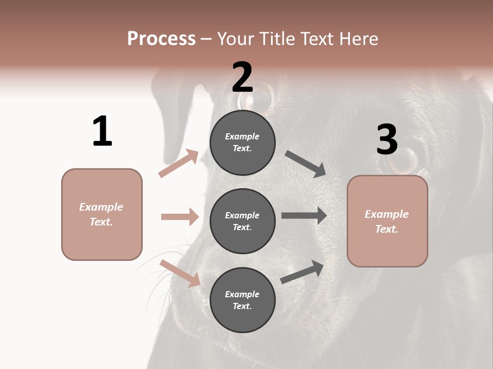 Retriver Intelligence Labrador Retriever PowerPoint Template