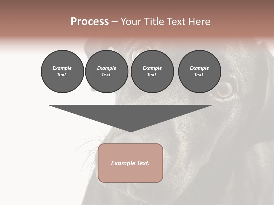 Retriver Intelligence Labrador Retriever PowerPoint Template