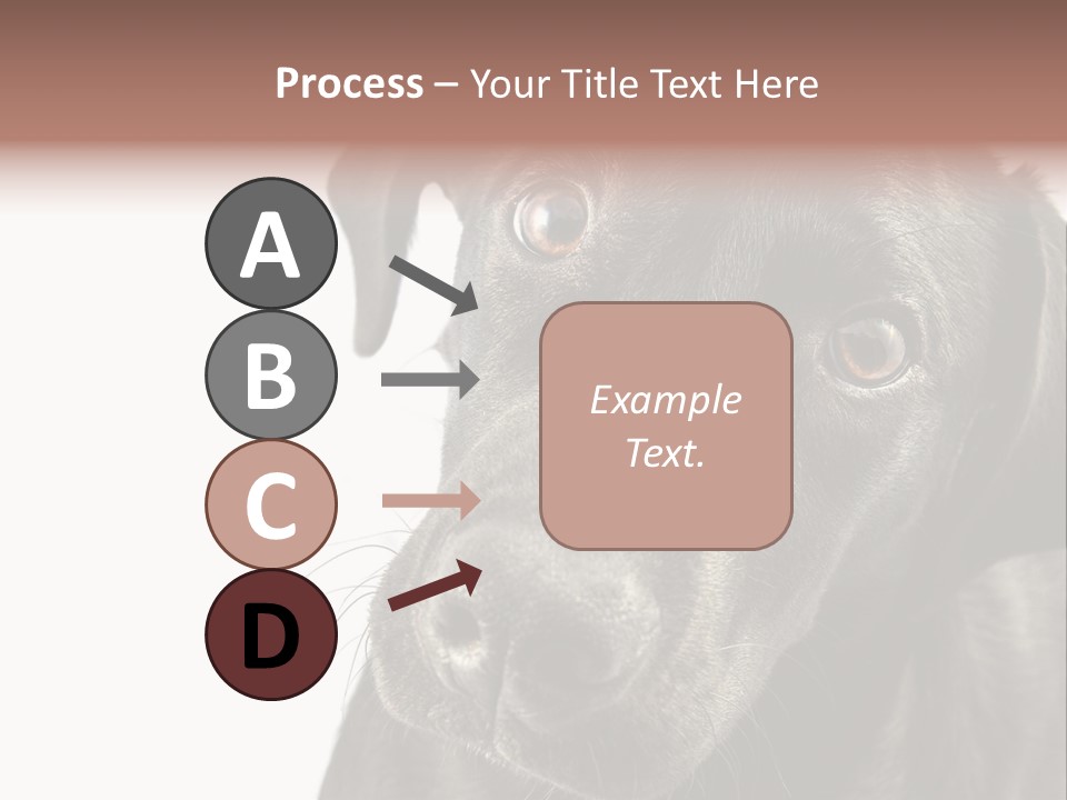 Retriver Intelligence Labrador Retriever PowerPoint Template