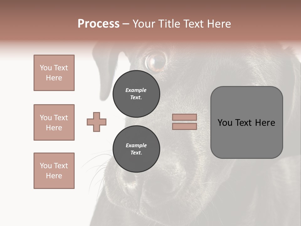 Retriver Intelligence Labrador Retriever PowerPoint Template