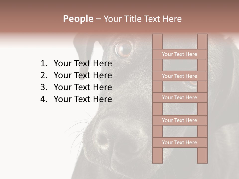 Retriver Intelligence Labrador Retriever PowerPoint Template
