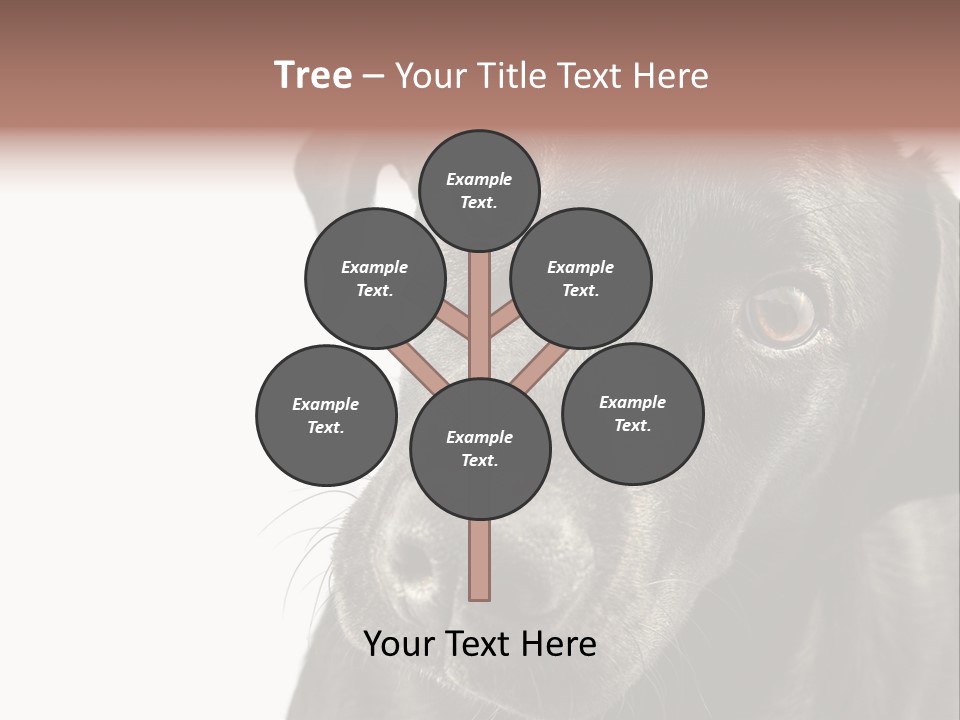 Retriver Intelligence Labrador Retriever PowerPoint Template