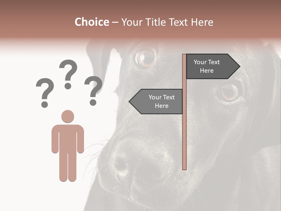Retriver Intelligence Labrador Retriever PowerPoint Template