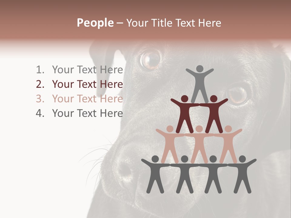 Retriver Intelligence Labrador Retriever PowerPoint Template