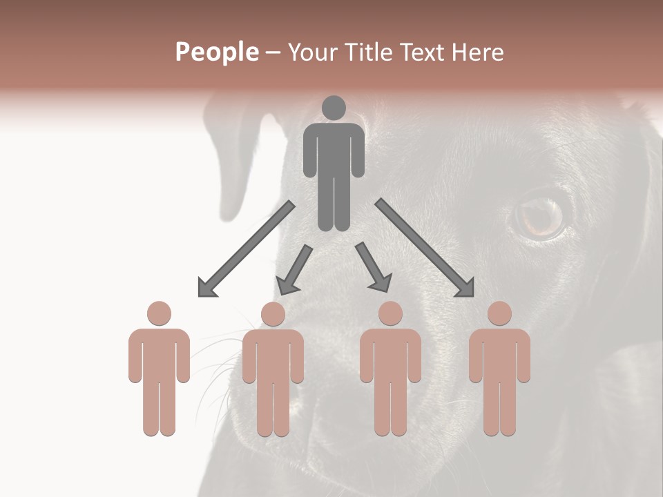 Retriver Intelligence Labrador Retriever PowerPoint Template