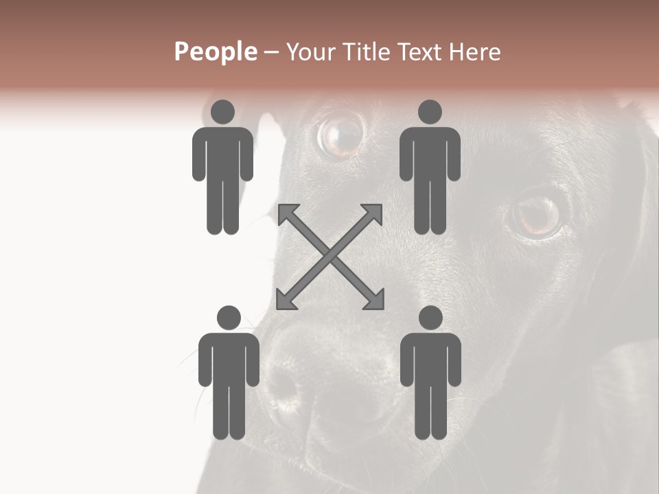 Retriver Intelligence Labrador Retriever PowerPoint Template
