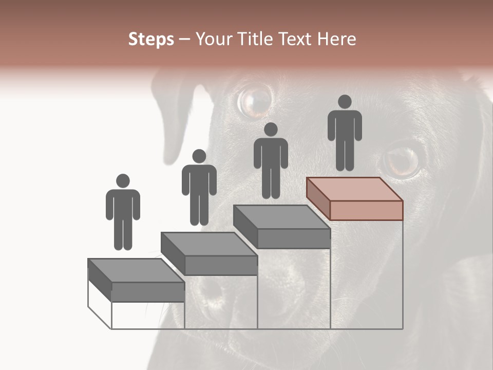 Retriver Intelligence Labrador Retriever PowerPoint Template