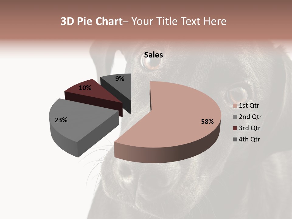 Retriver Intelligence Labrador Retriever PowerPoint Template