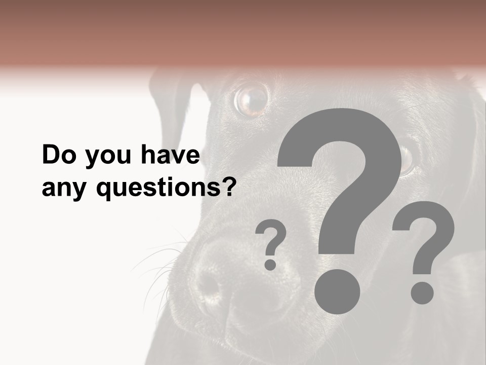 Retriver Intelligence Labrador Retriever PowerPoint Template