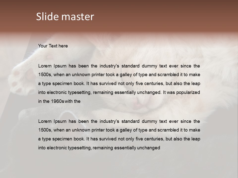 Adorable Lying Little PowerPoint Template