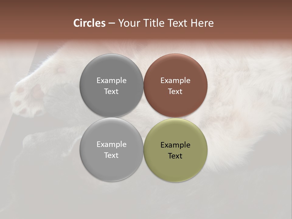 Adorable Lying Little PowerPoint Template