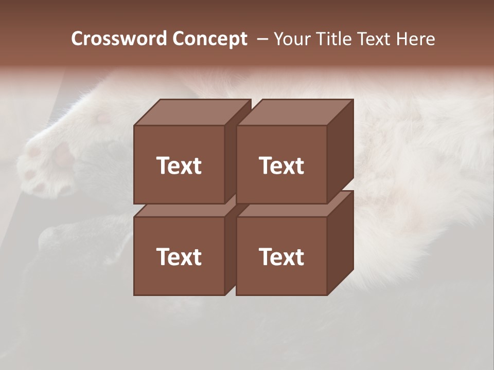 Adorable Lying Little PowerPoint Template