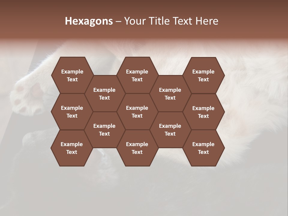 Adorable Lying Little PowerPoint Template