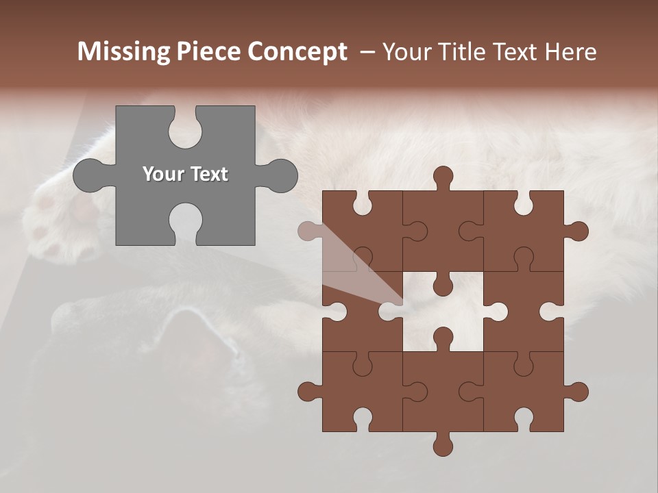 Adorable Lying Little PowerPoint Template