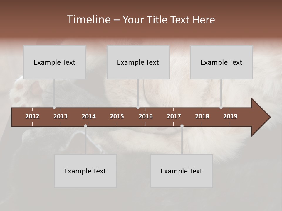 Adorable Lying Little PowerPoint Template