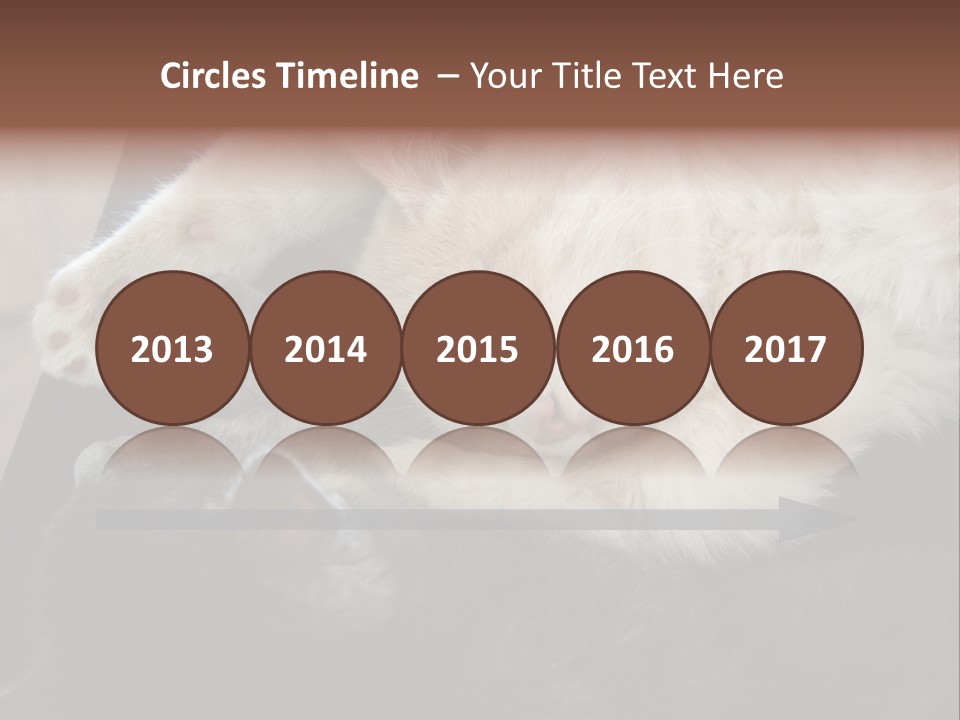 Adorable Lying Little PowerPoint Template