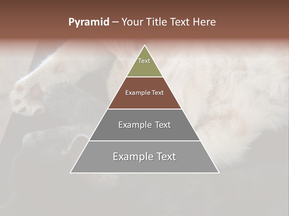 Adorable Lying Little PowerPoint Template