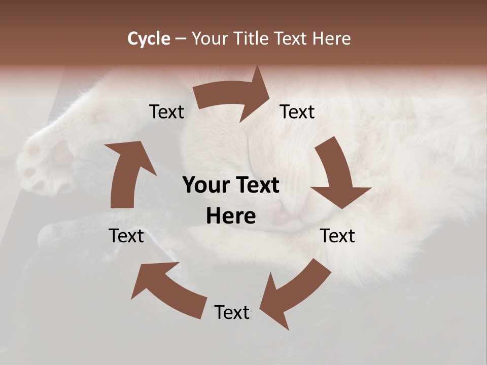 Adorable Lying Little PowerPoint Template