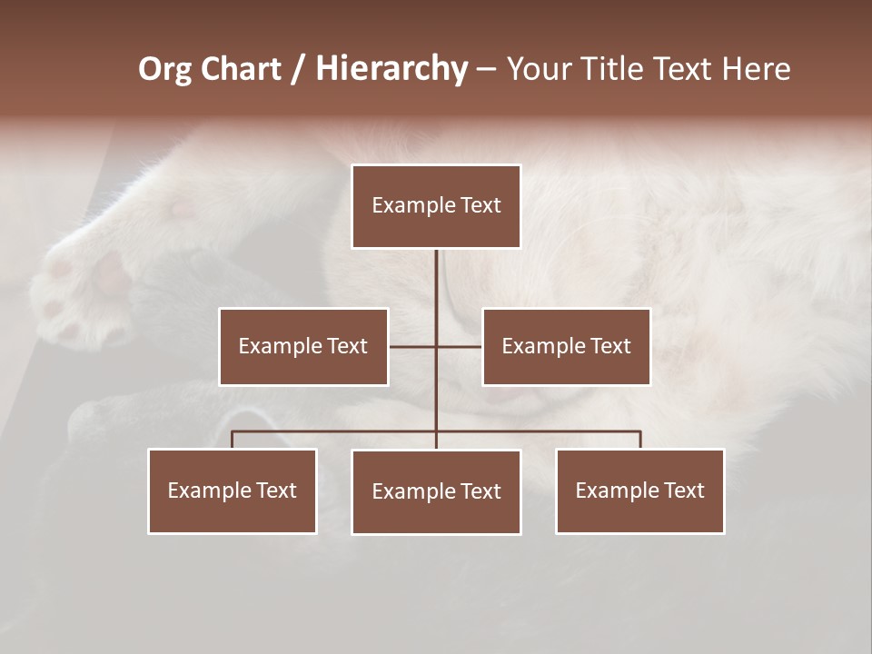 Adorable Lying Little PowerPoint Template