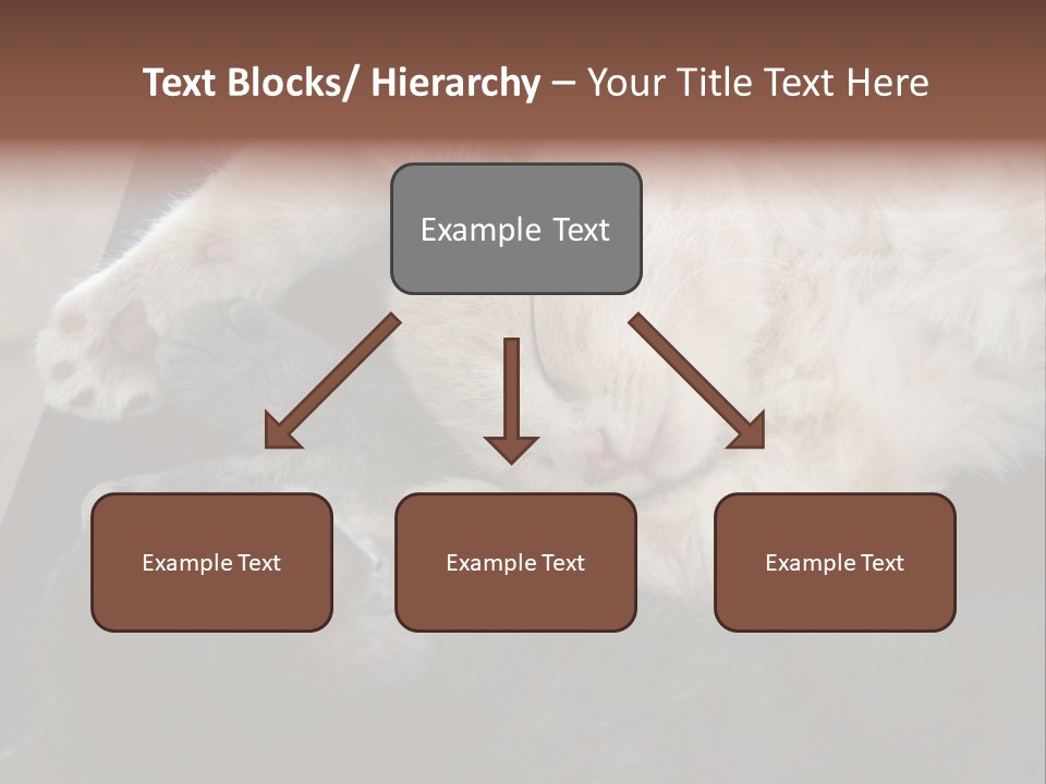 Adorable Lying Little PowerPoint Template