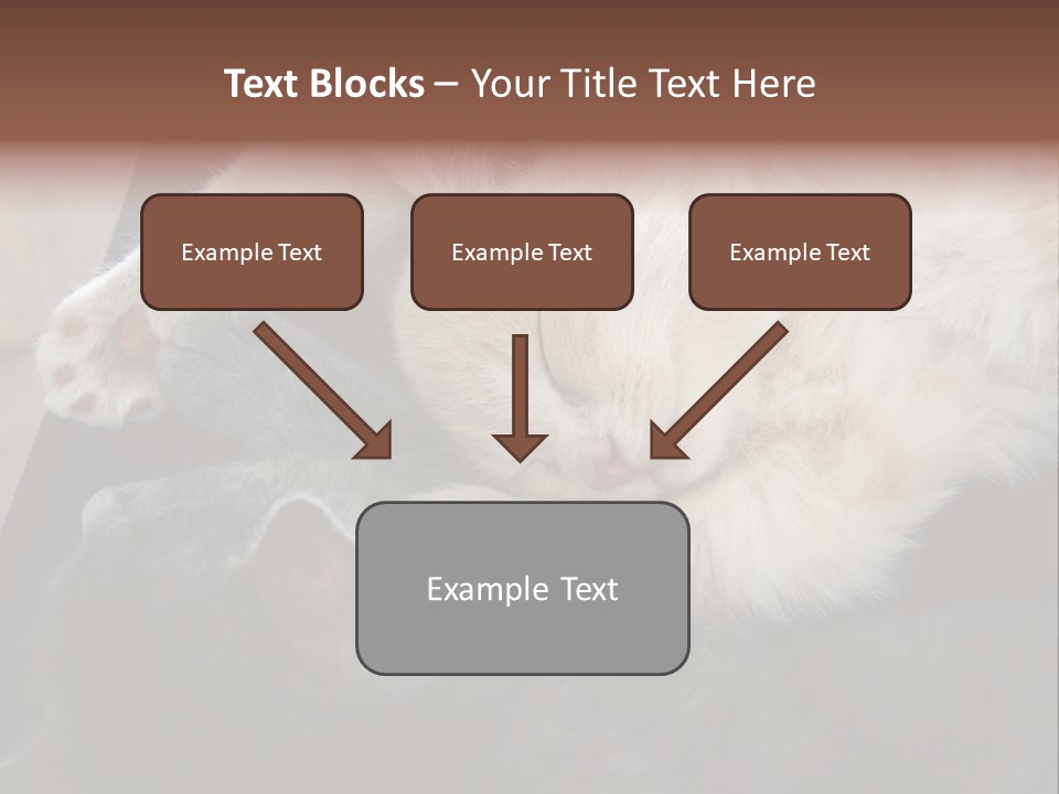 Adorable Lying Little PowerPoint Template