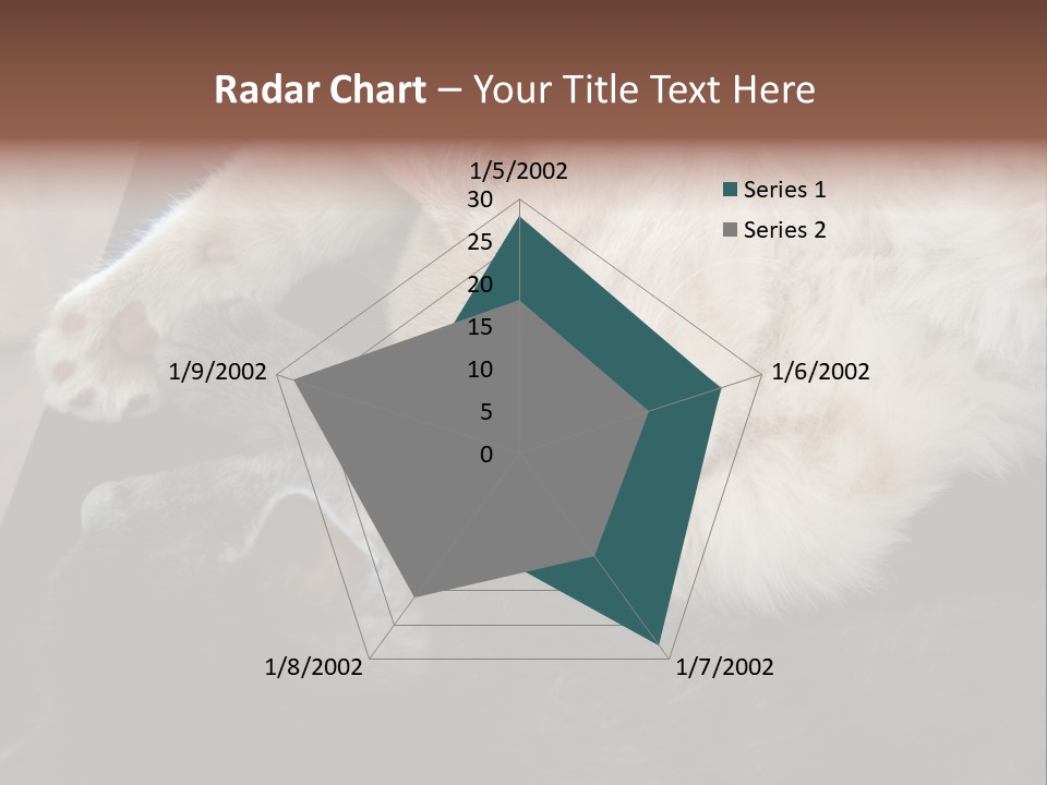 Adorable Lying Little PowerPoint Template