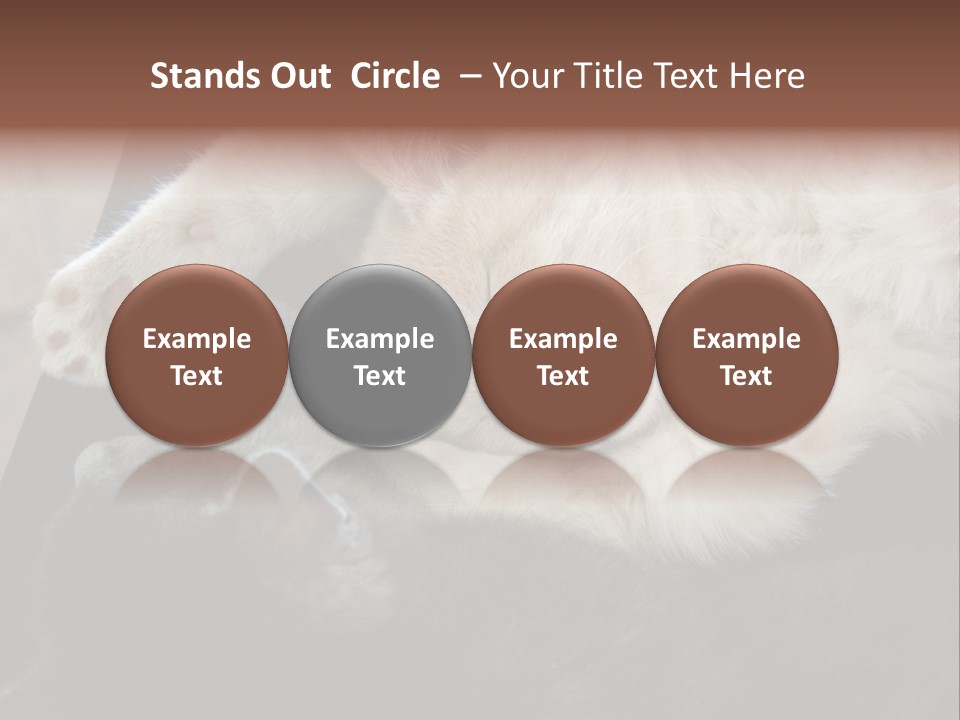 Adorable Lying Little PowerPoint Template