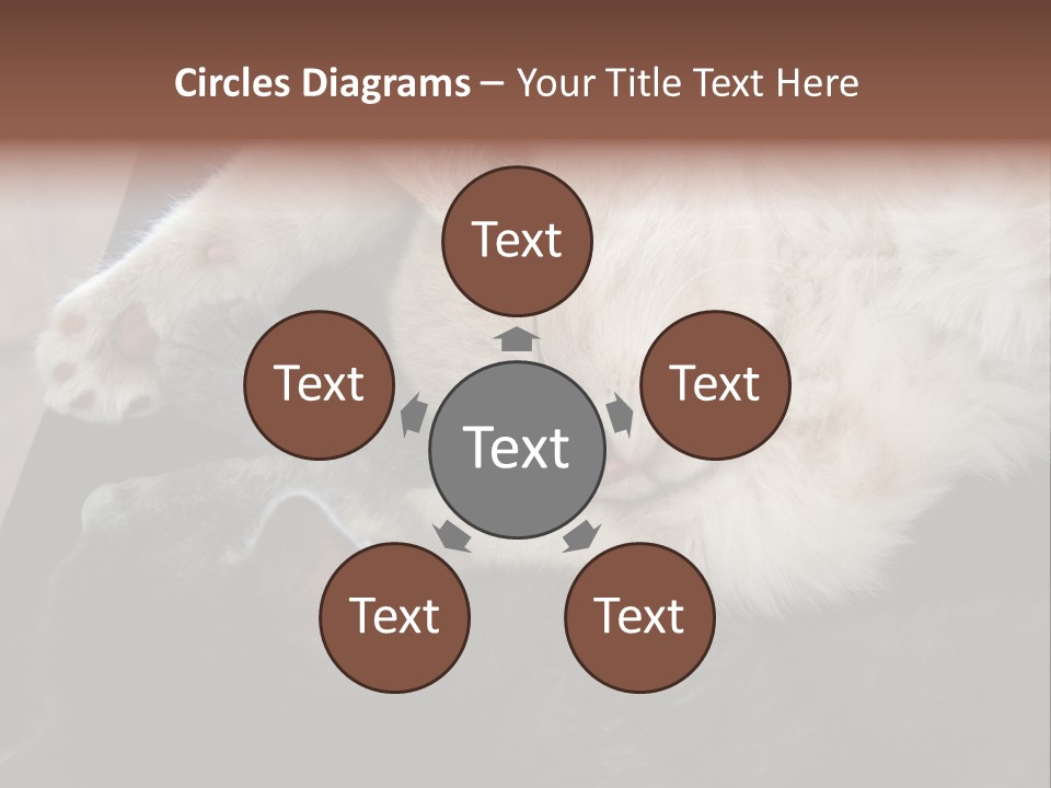 Adorable Lying Little PowerPoint Template