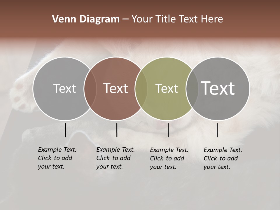 Adorable Lying Little PowerPoint Template