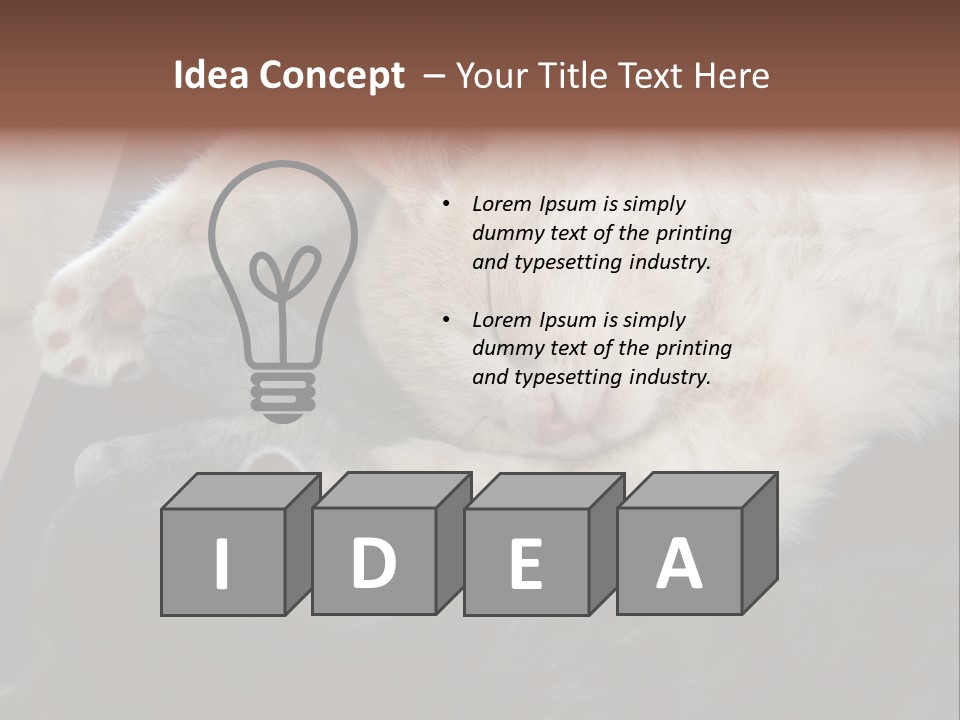 Adorable Lying Little PowerPoint Template