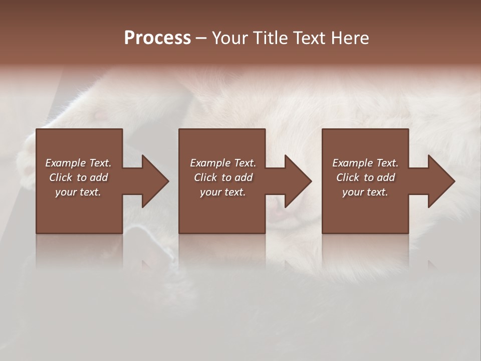 Adorable Lying Little PowerPoint Template