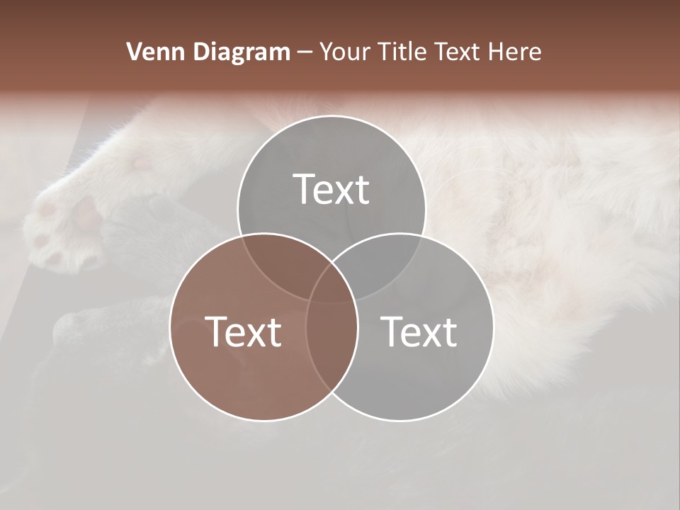 Adorable Lying Little PowerPoint Template