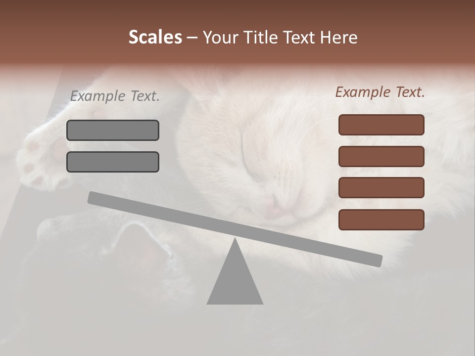 Adorable Lying Little PowerPoint Template