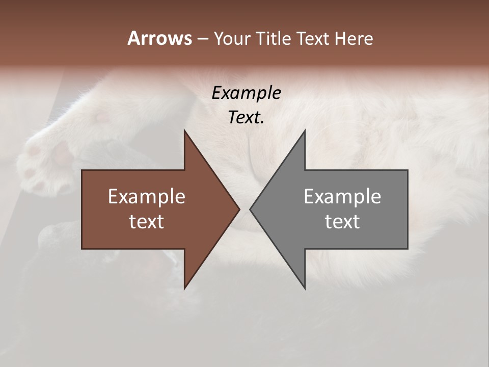 Adorable Lying Little PowerPoint Template