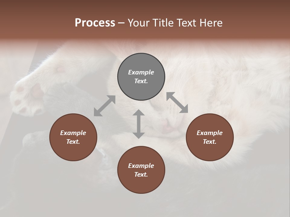 Adorable Lying Little PowerPoint Template