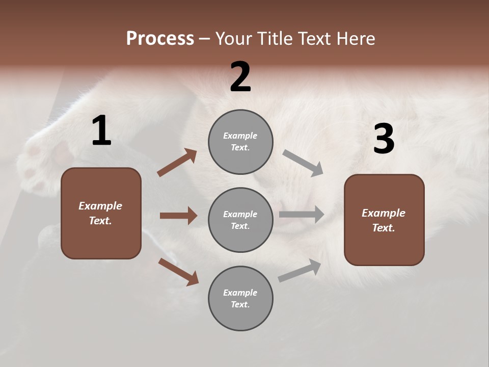 Adorable Lying Little PowerPoint Template