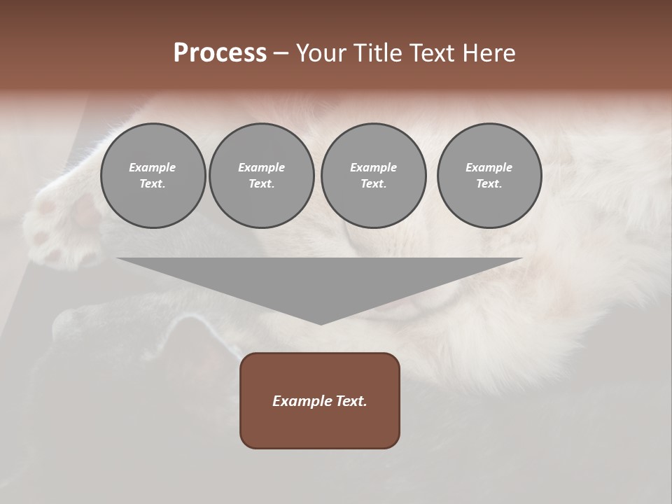 Adorable Lying Little PowerPoint Template