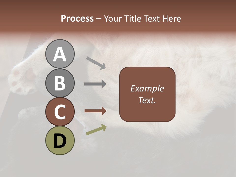Adorable Lying Little PowerPoint Template