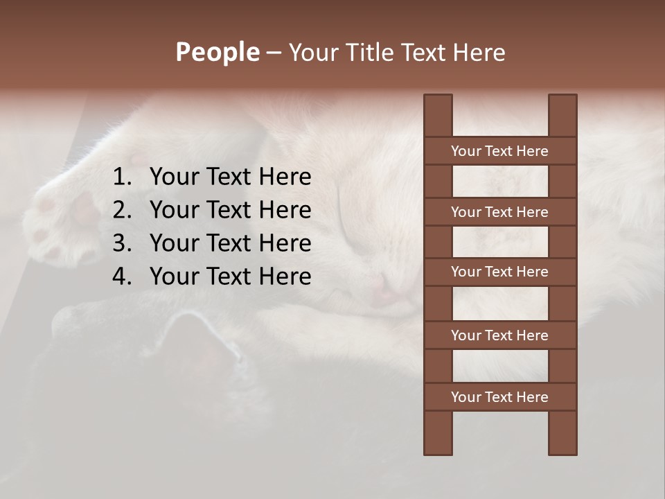Adorable Lying Little PowerPoint Template