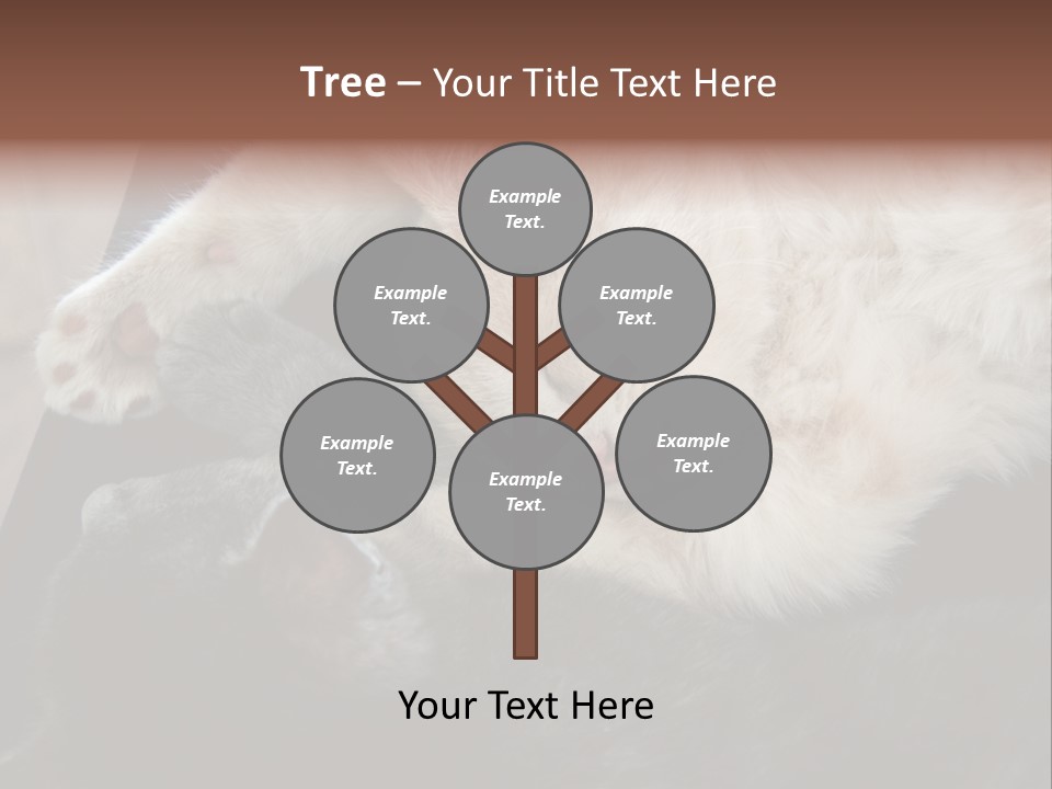 Adorable Lying Little PowerPoint Template