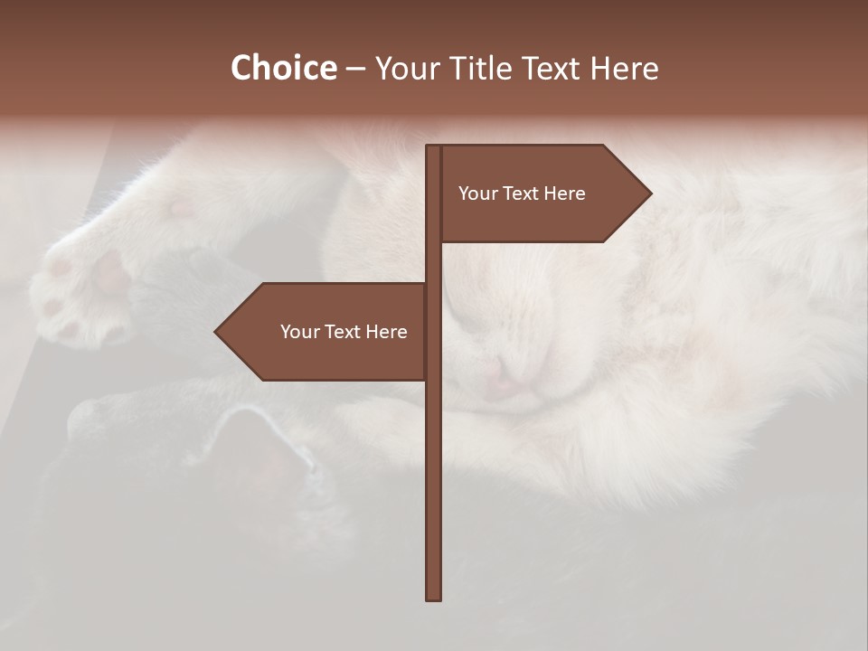 Adorable Lying Little PowerPoint Template