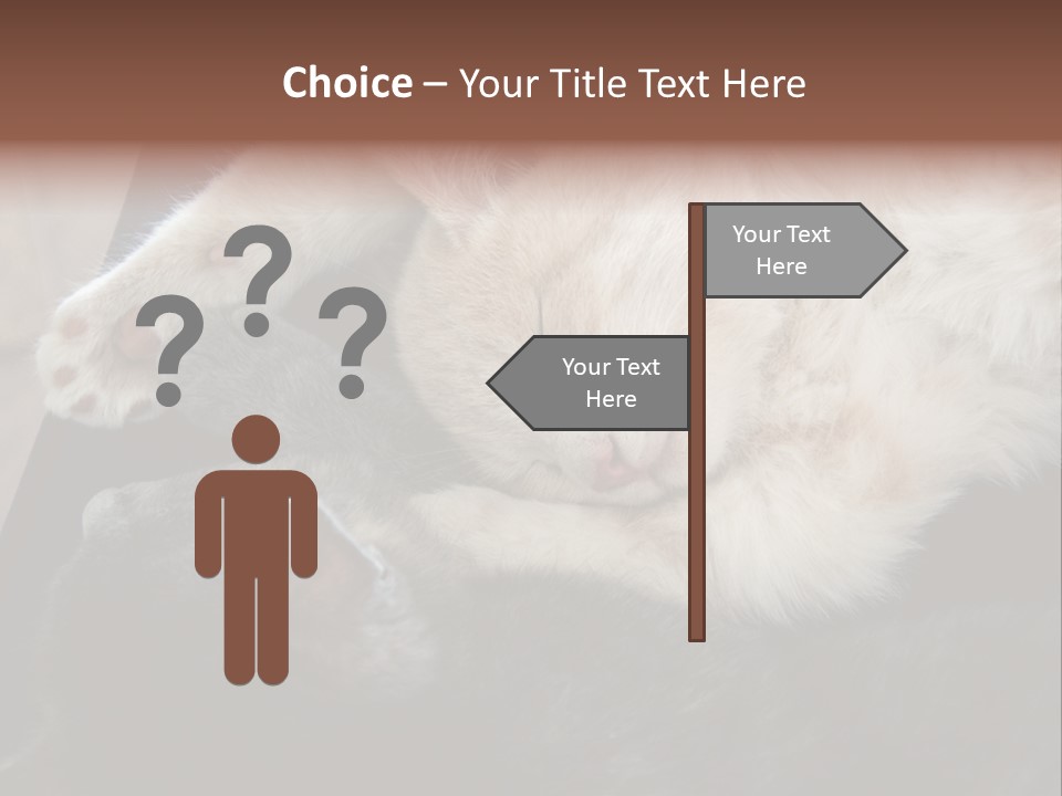 Adorable Lying Little PowerPoint Template